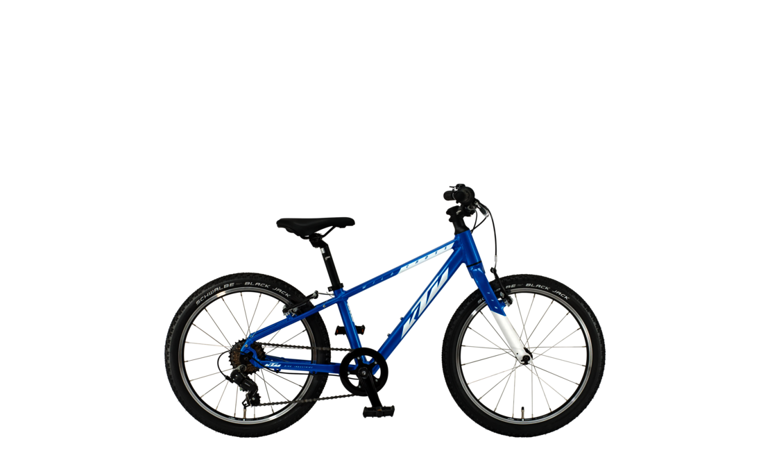 Wild Cross 20